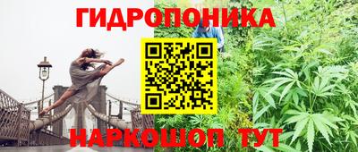 МДПВ Пушкино