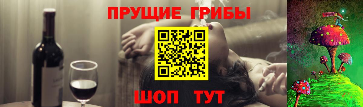 купить  цена  Вход с VPN  Среднеуральск  Псилоцибиновые грибы Psilocybe 